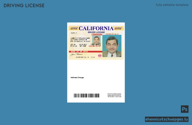 USA, Kalifornien, Führerschein Version 3 – Beispielvorschau